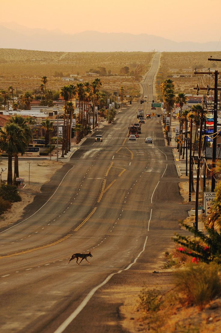 mojave desert